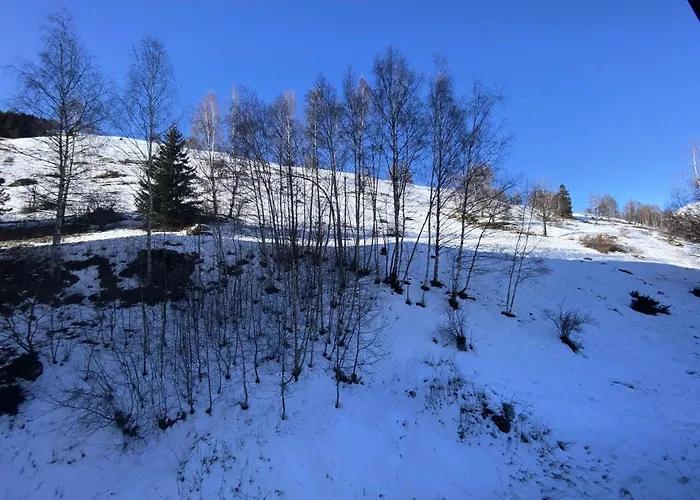 Diamant 1 - Joli De 3 Couchages Dans Le Coeur De La Station Des Deux Alpes Mae-2311